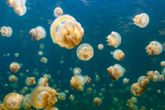 Imagens Blog Bestravel