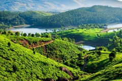 blog-india-bestravel-natureza