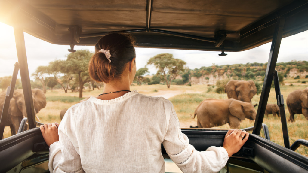 Safari