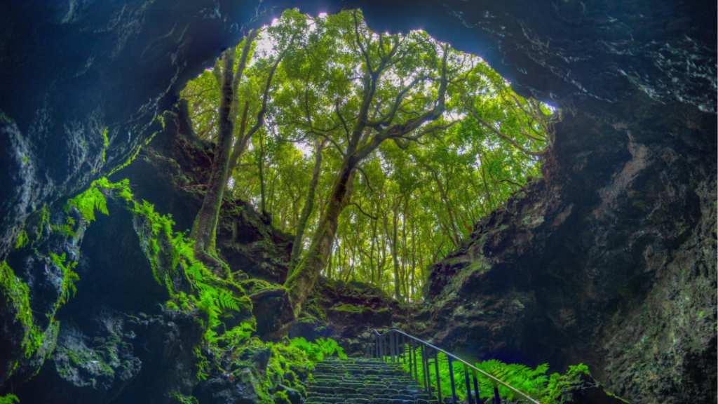 Açores Gruta das Torres