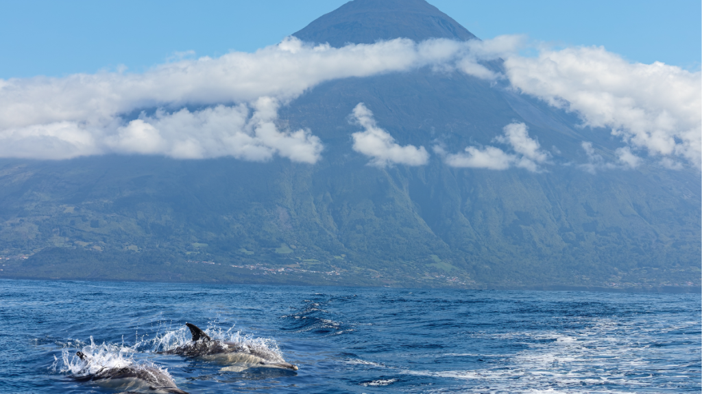 Açores Pico