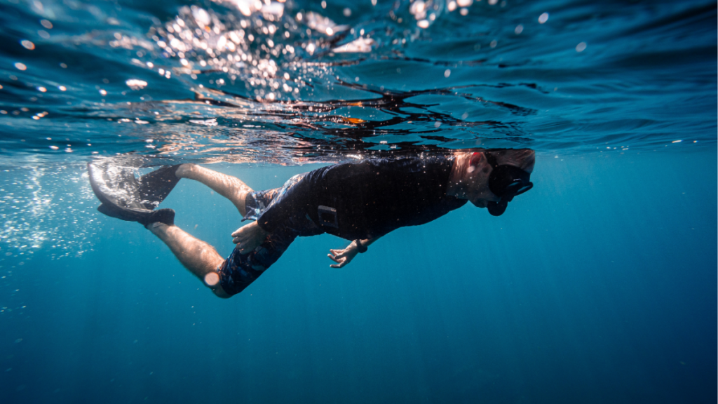 Açores Snorkeling