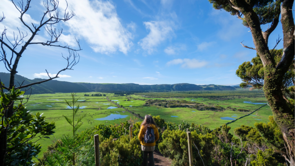 Açores